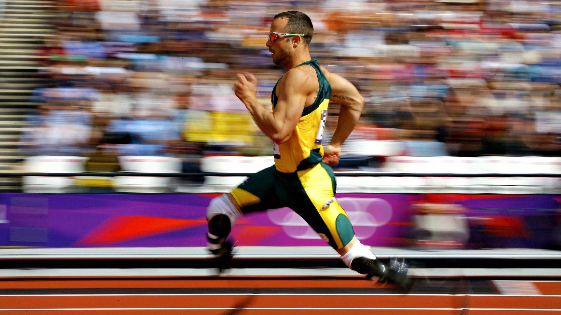 2026年世界青少年游泳锦标赛 中国队揽下多个奥运主项金牌